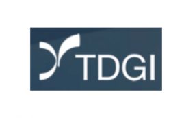 TDGI